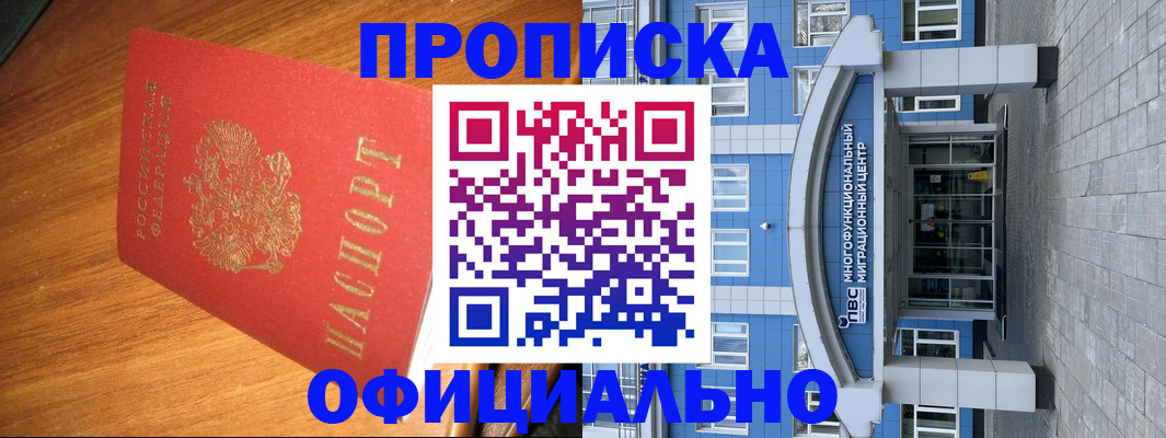 временная регистрация для школы в Тимашёвске